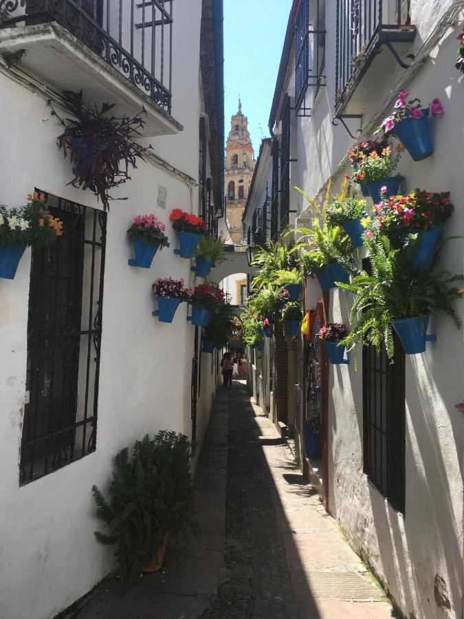 Conde De Vallellano Cordoba Exterior photo